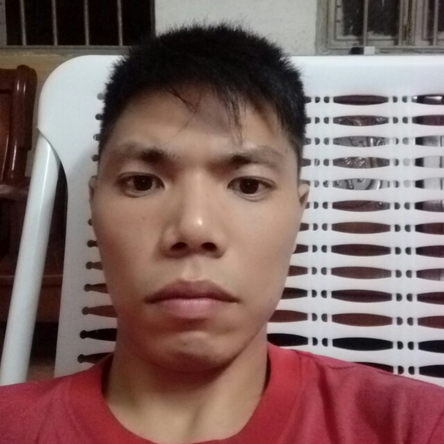 沉静闻羽毛的照片