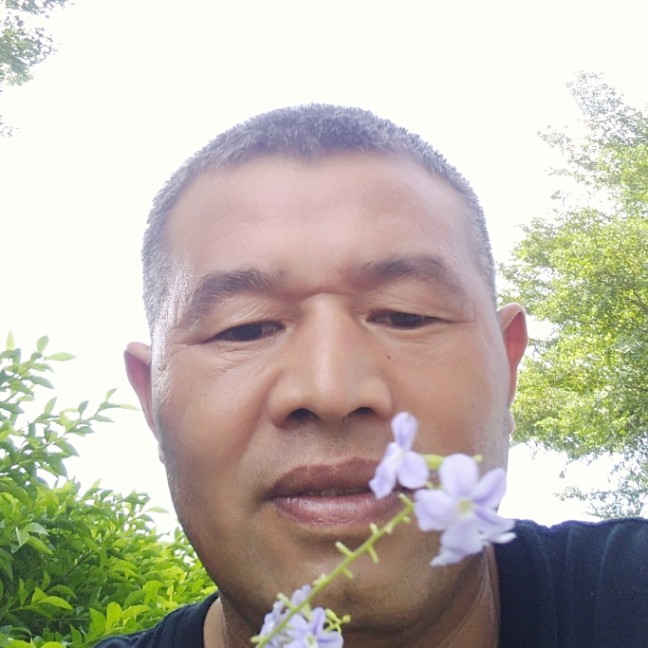 冬日爱恋跳跃的照片