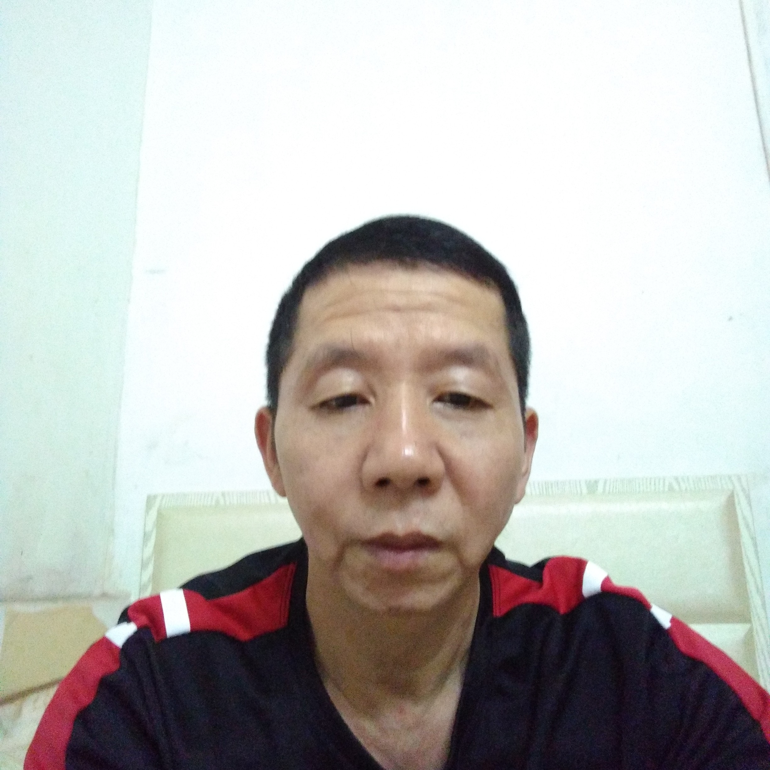 小松鼠有勤劳的照片