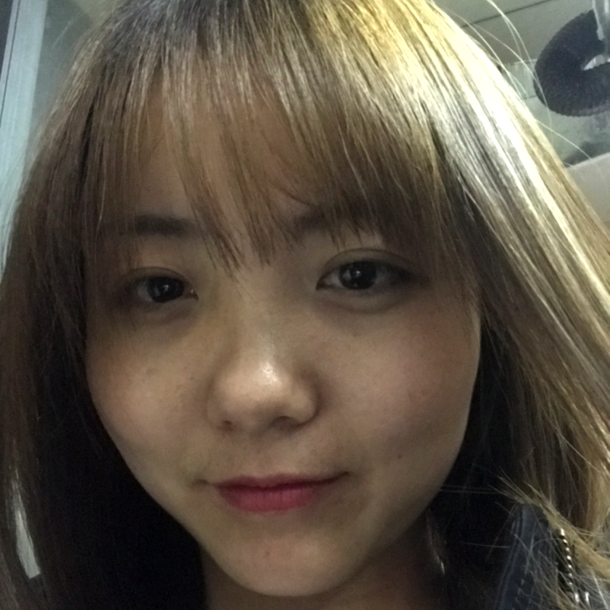 斑马漂亮的照片