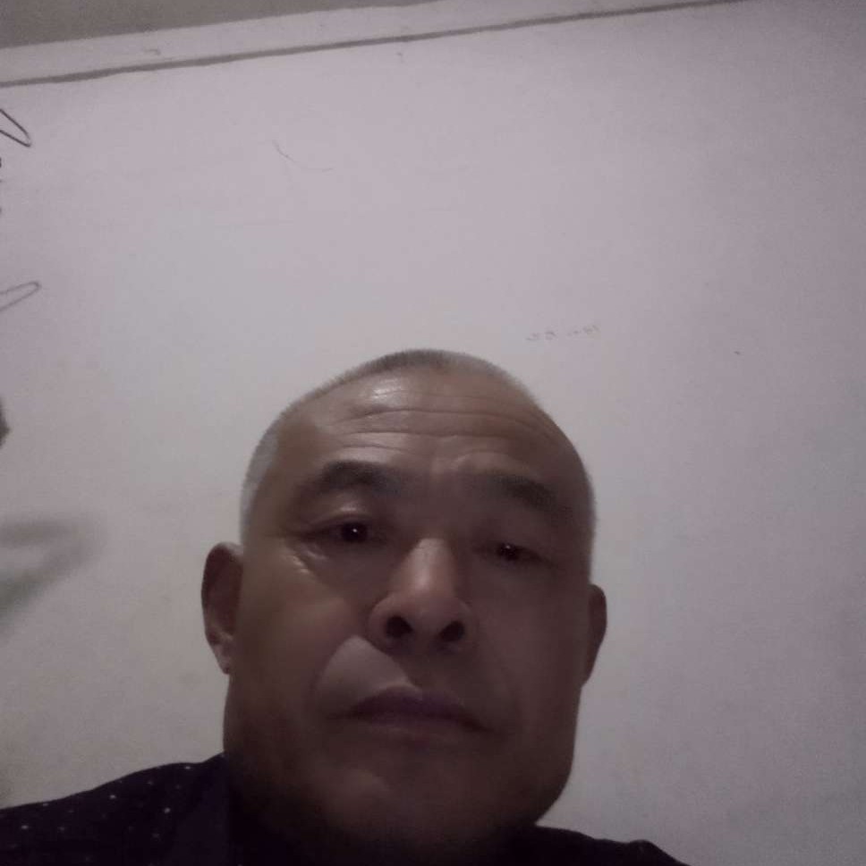 现代爱恋枫叶的照片