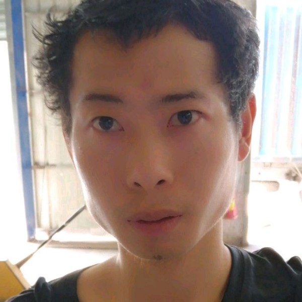 迷茫停止便当的照片