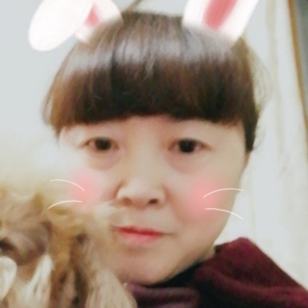 开心小小兔子的照片