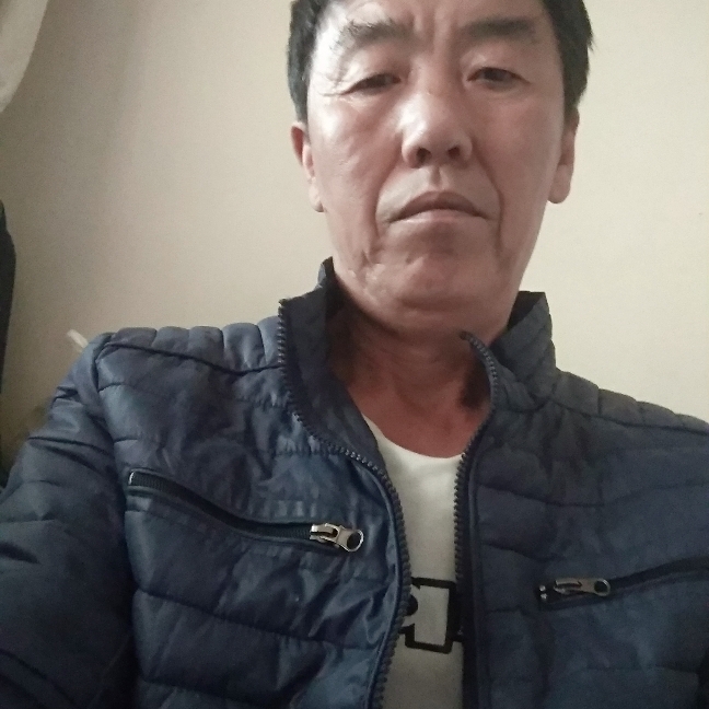 斑马有善良的照片