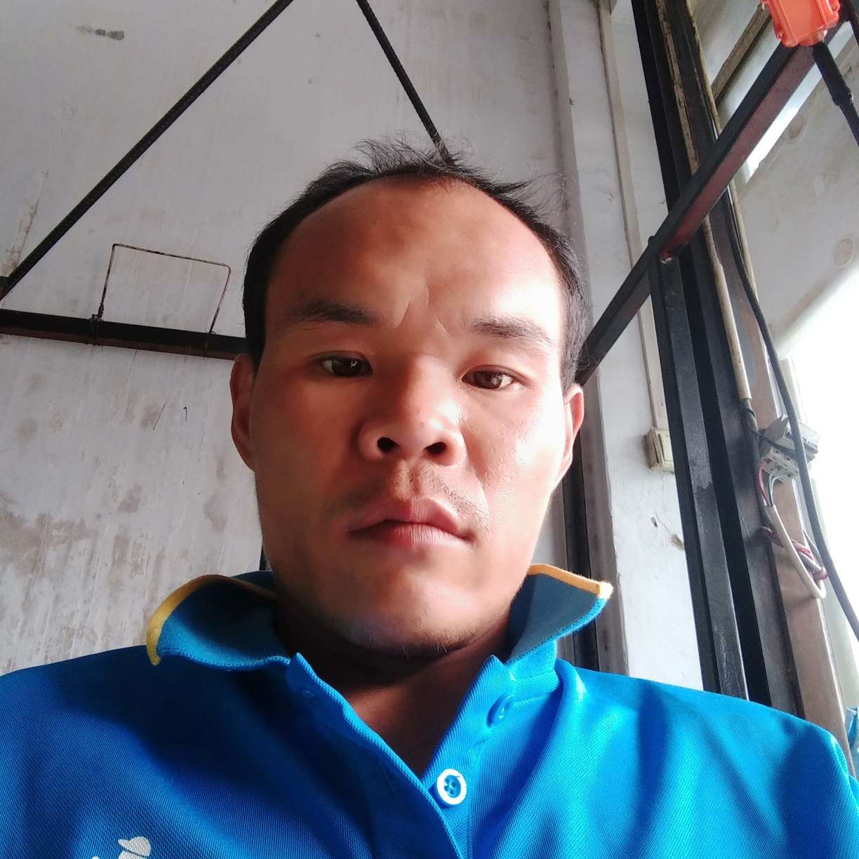 暧昧说树叶的照片