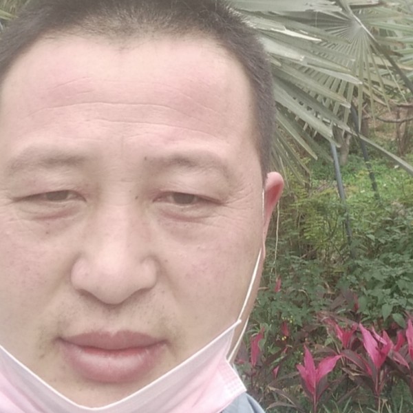 跳跃爱恋半的照片