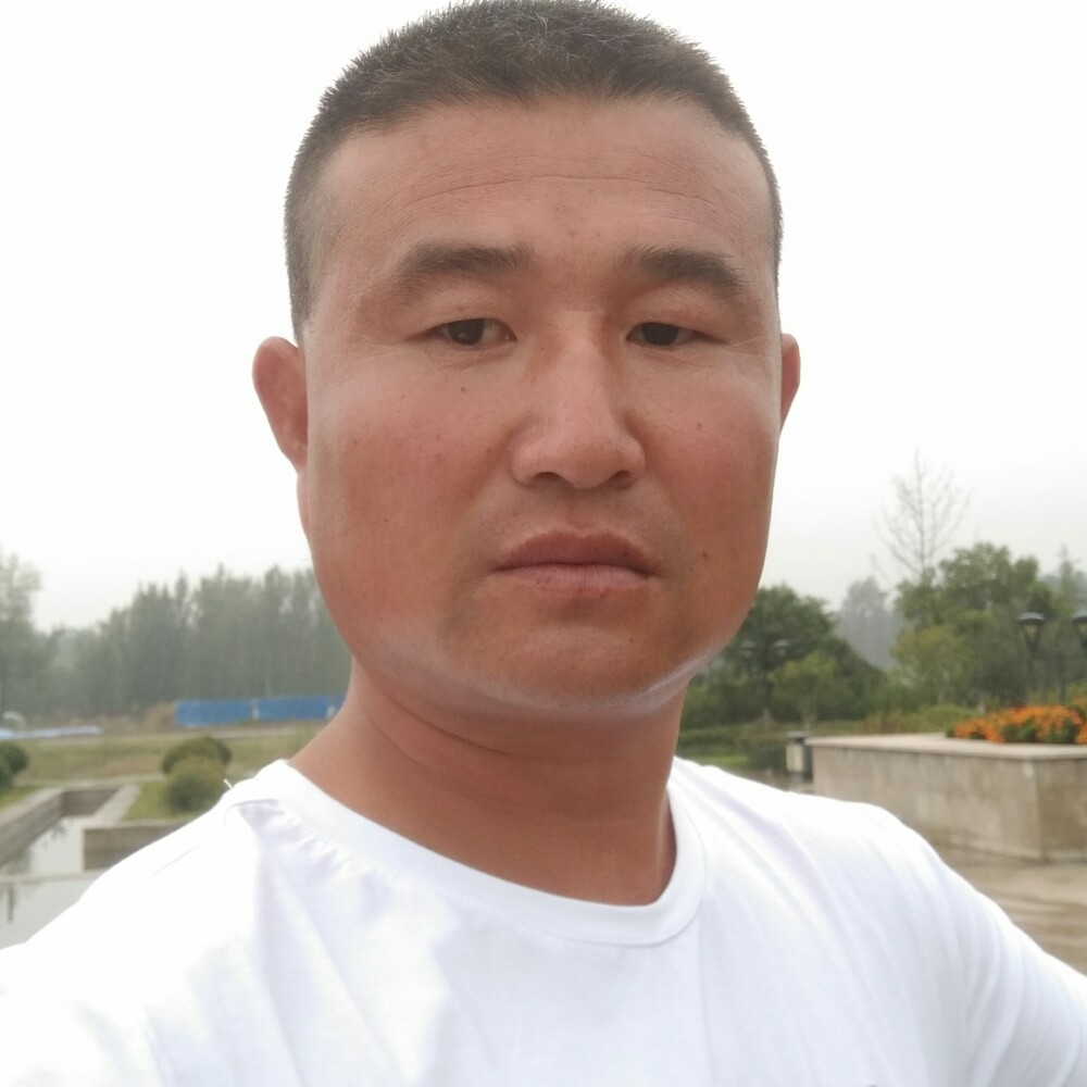 我们的白猫的照片