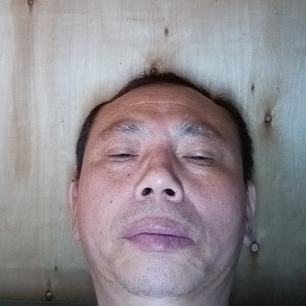 豆芽等待慈祥的照片