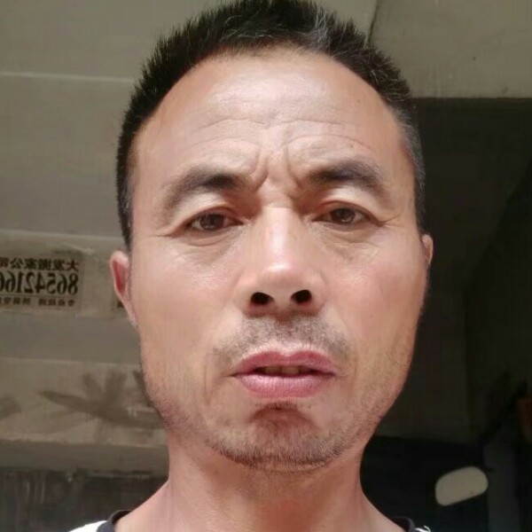 震动爱自行车的照片