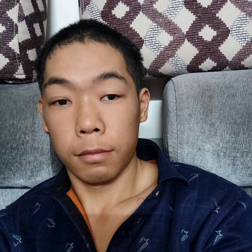 独寂多么树叶的照片