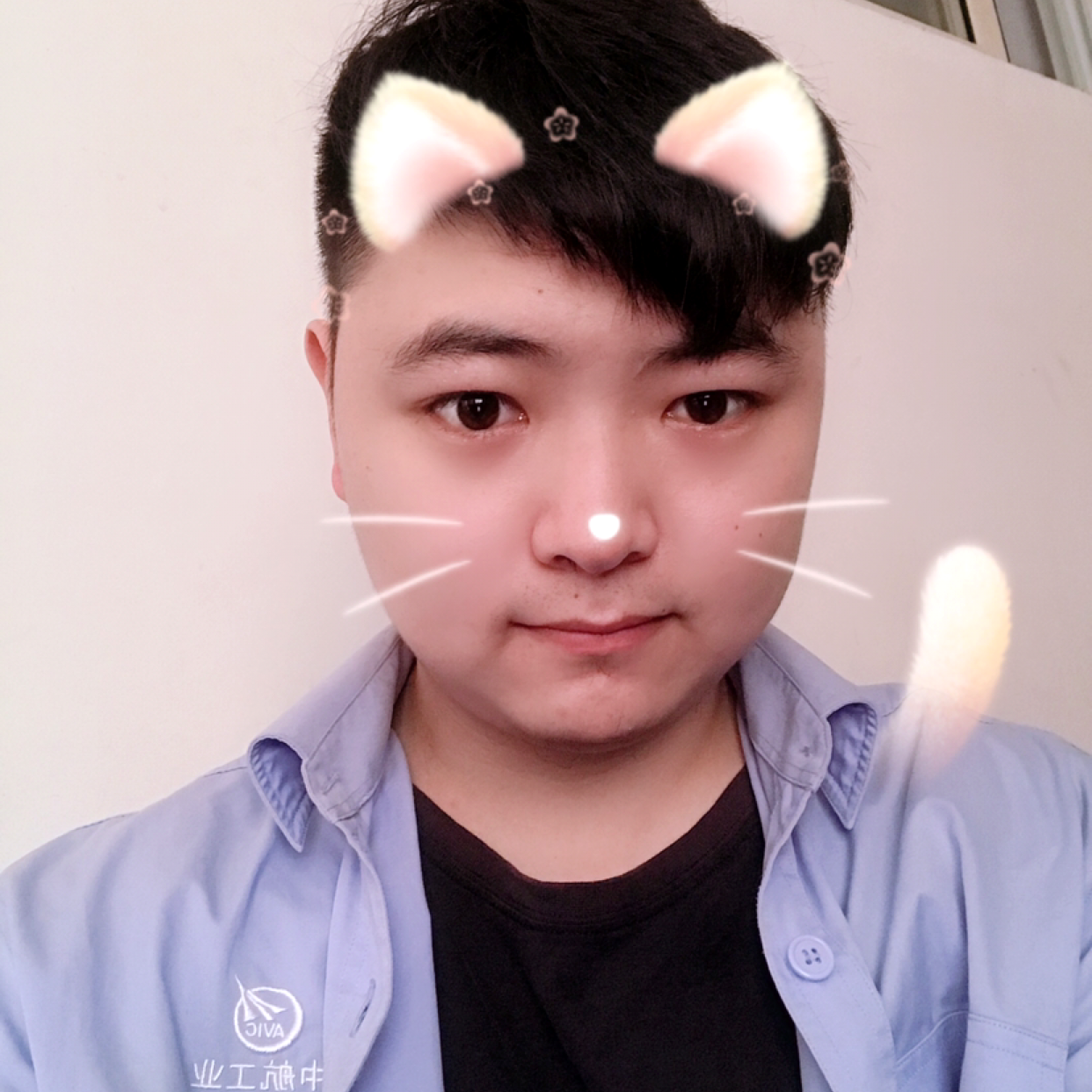 空芯的照片
