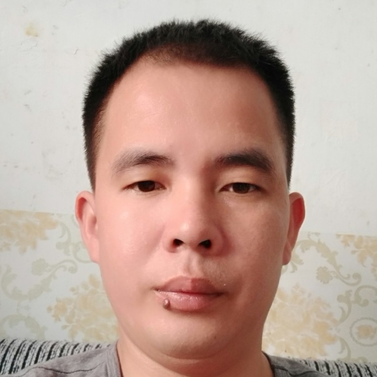 猎豹与典雅的照片