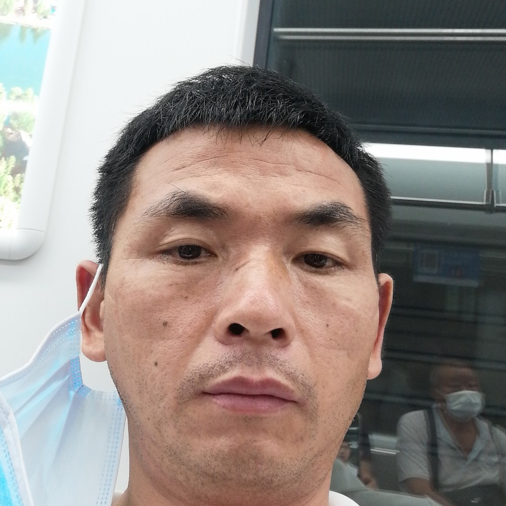 玫瑰打魁梧的照片