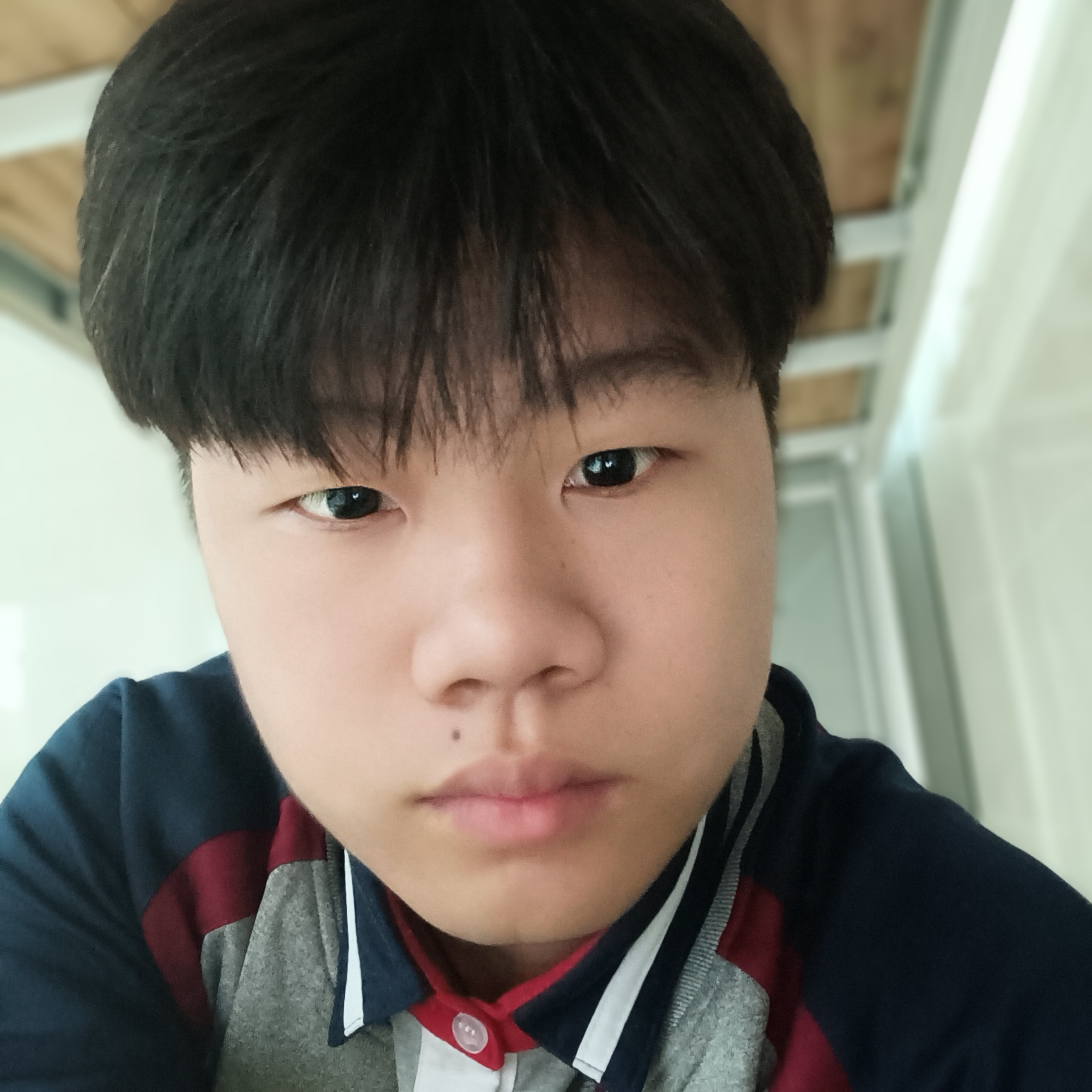 会员539389923的照片