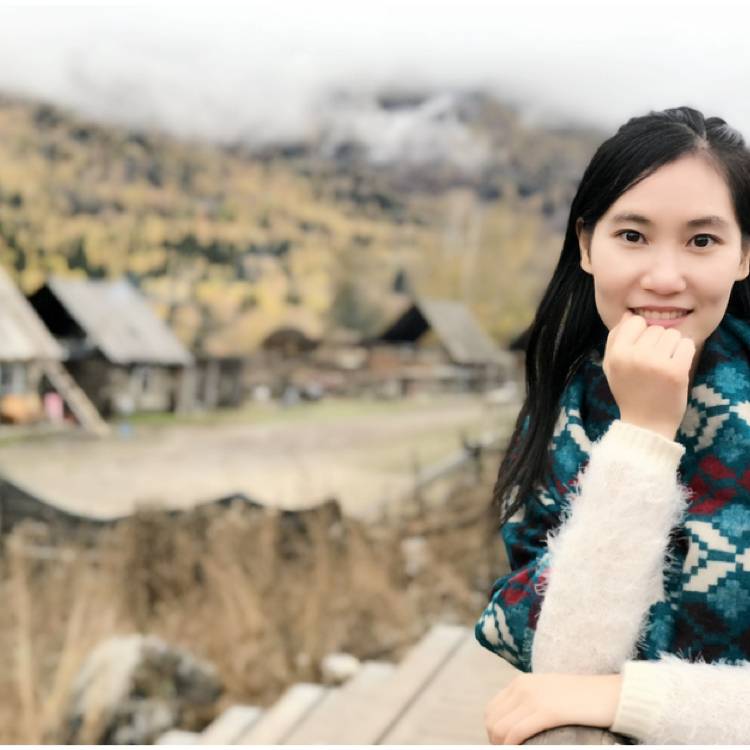 椰林树影的照片