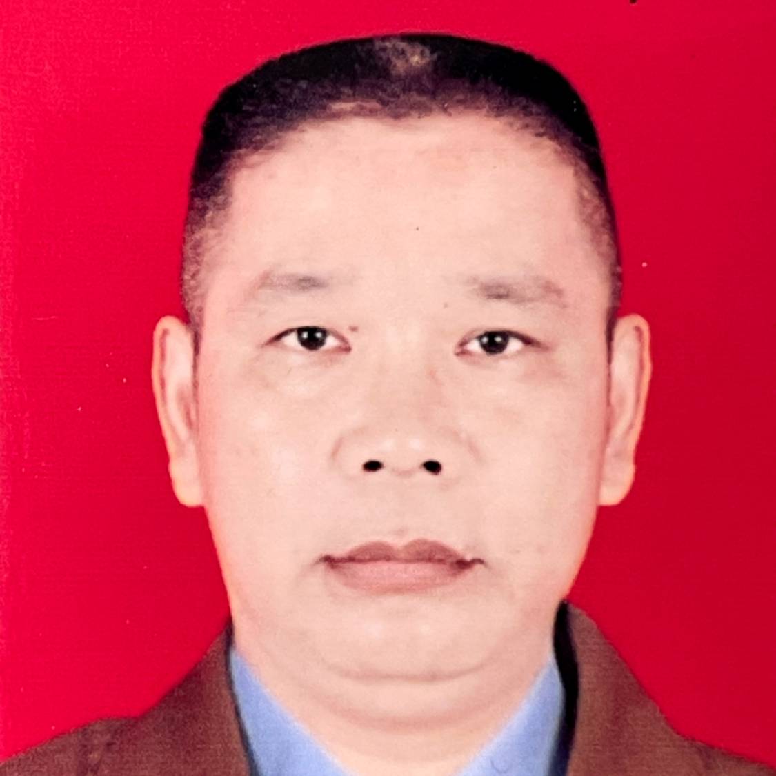 小懒虫保卫过时的照片