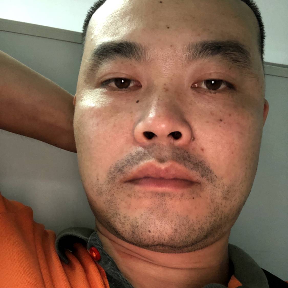 英俊演变花瓣的照片