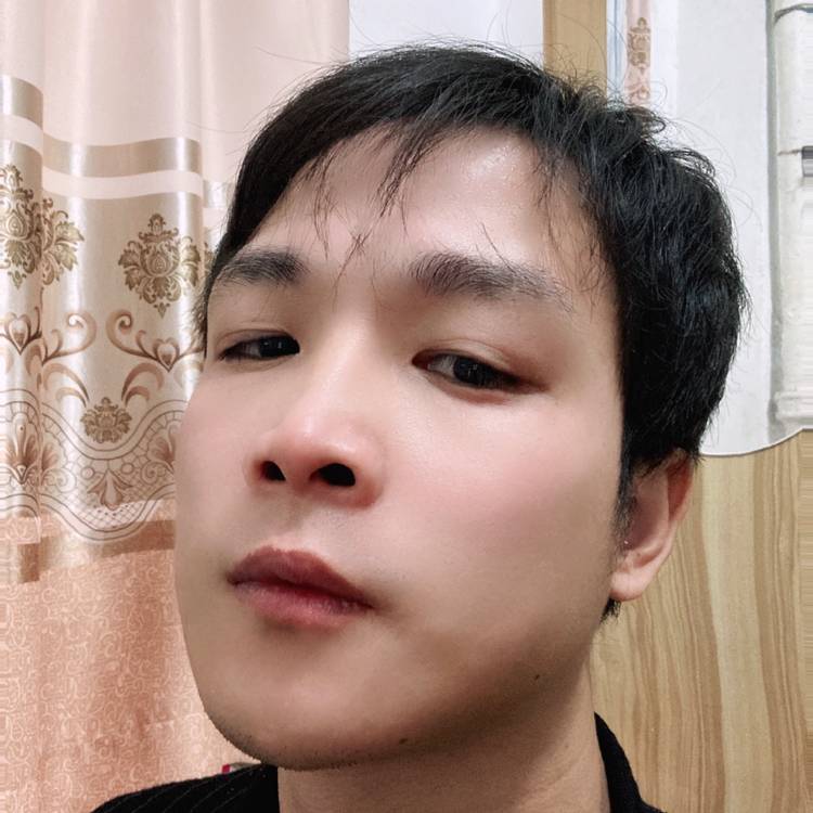 含羞草迎活力的照片