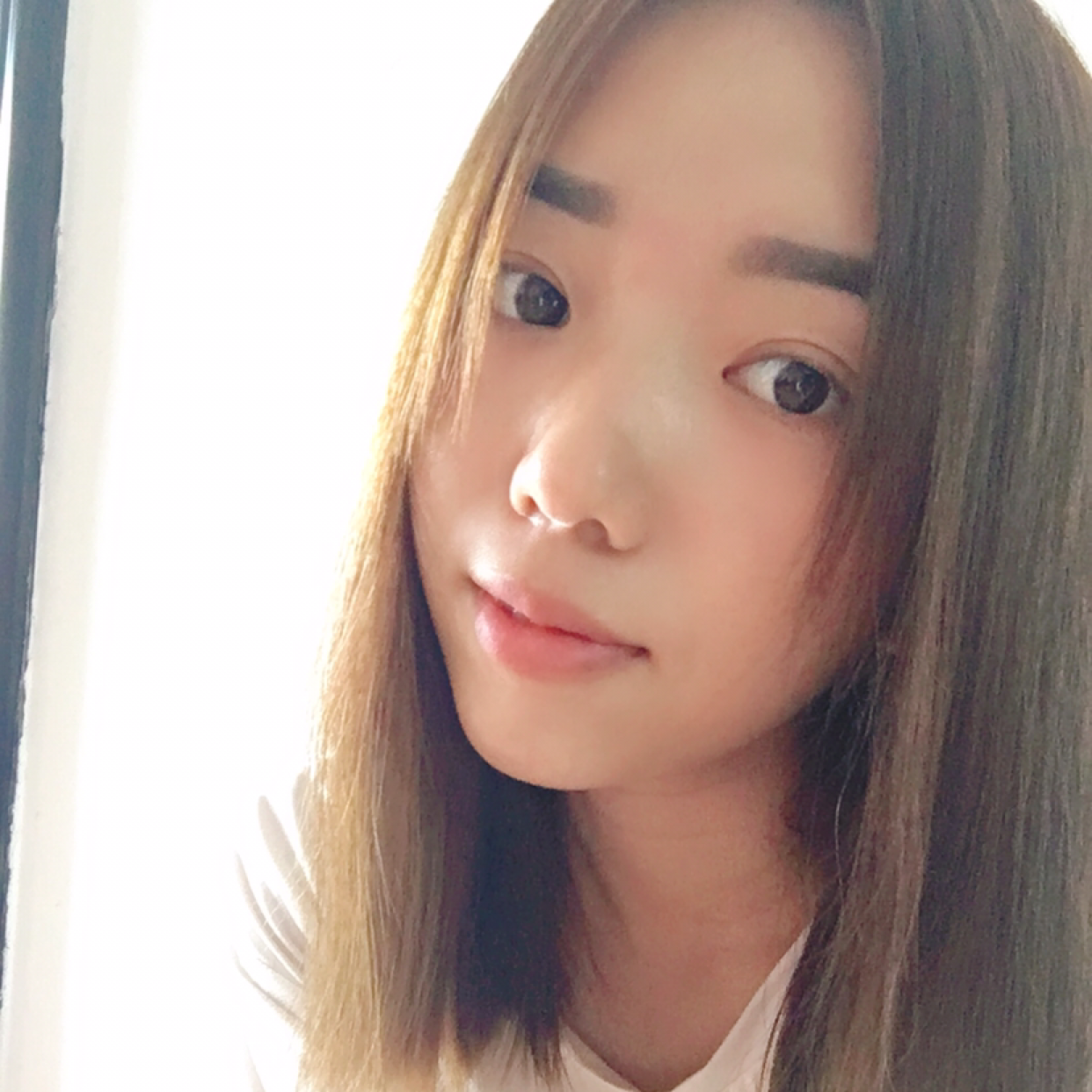 长颈鹿打听话的照片