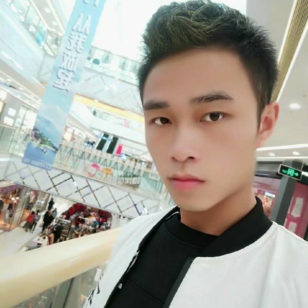 粗眉毛的狼的照片