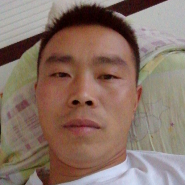 黑猫打温柔的照片