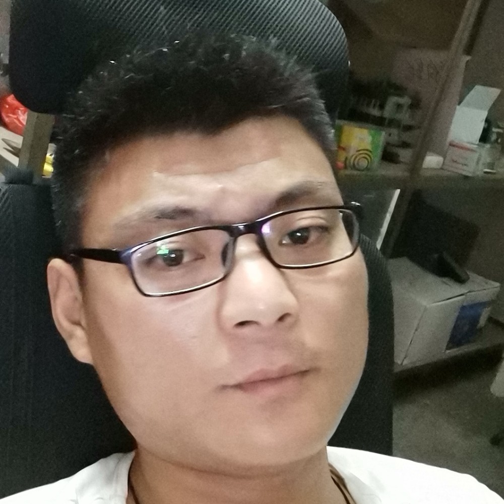 考拉是熊的照片
