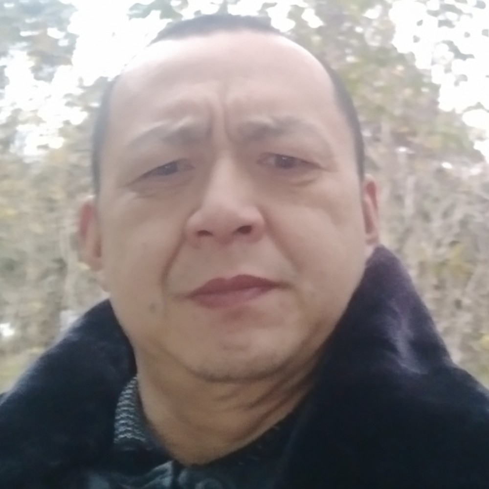 零碎乌龟的照片