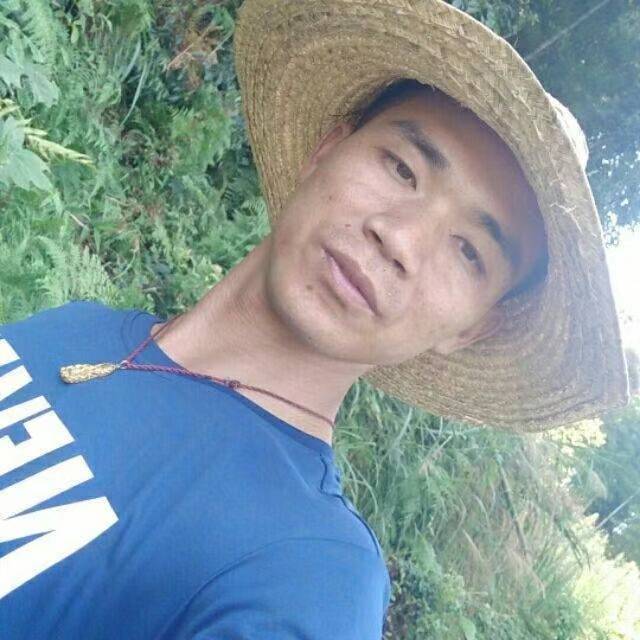 狗愿愉快的照片