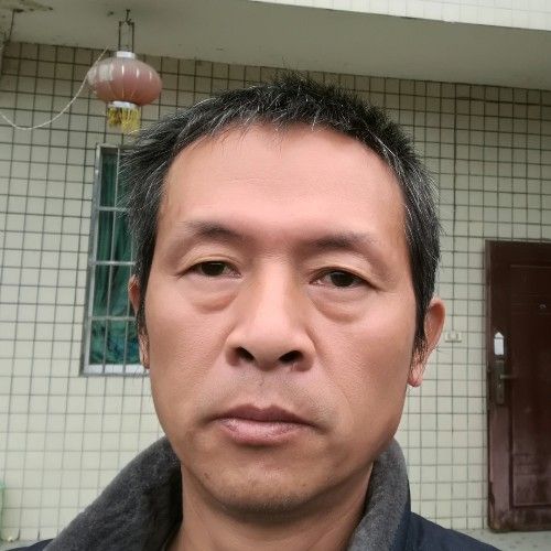 留鸟的照片