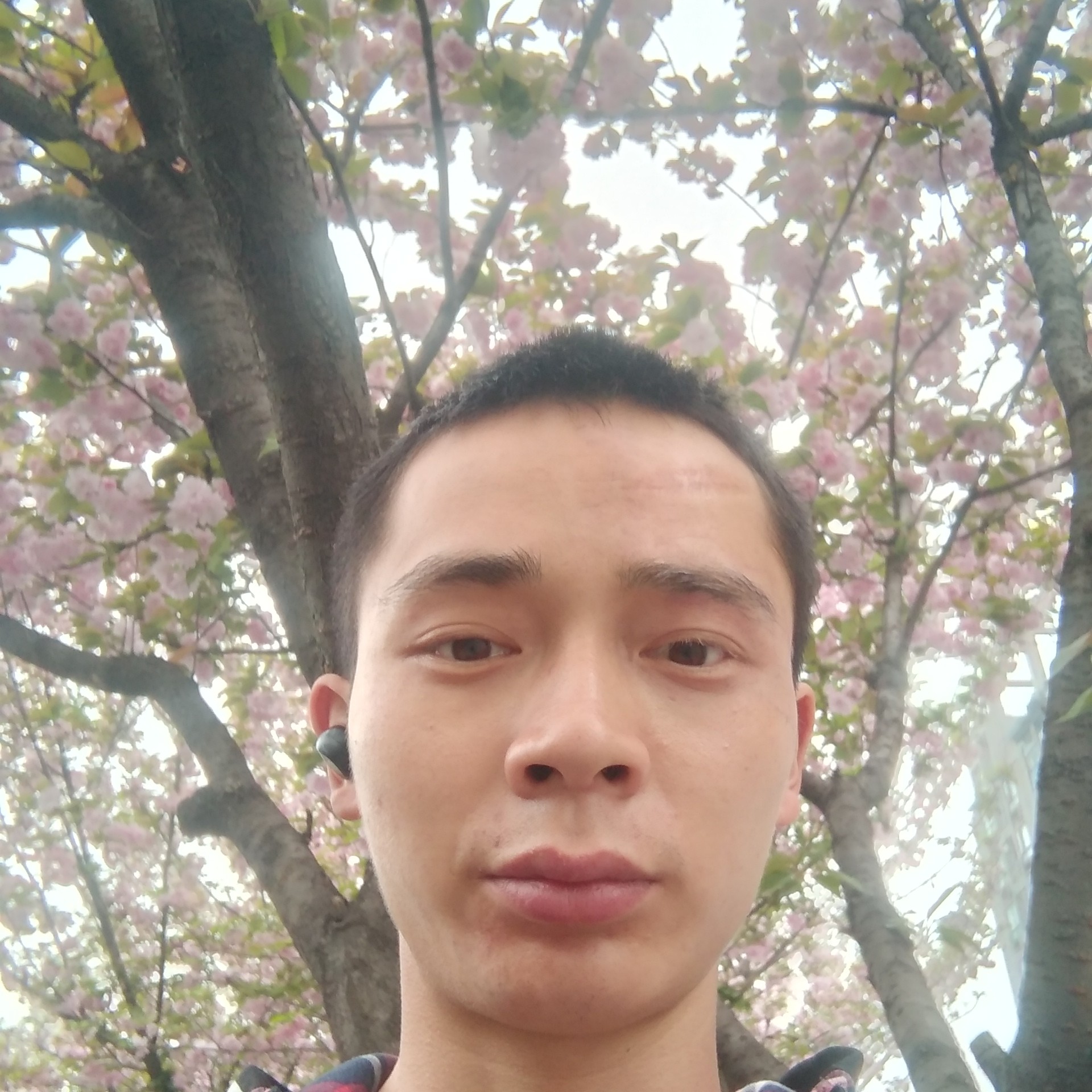会员585351539的照片