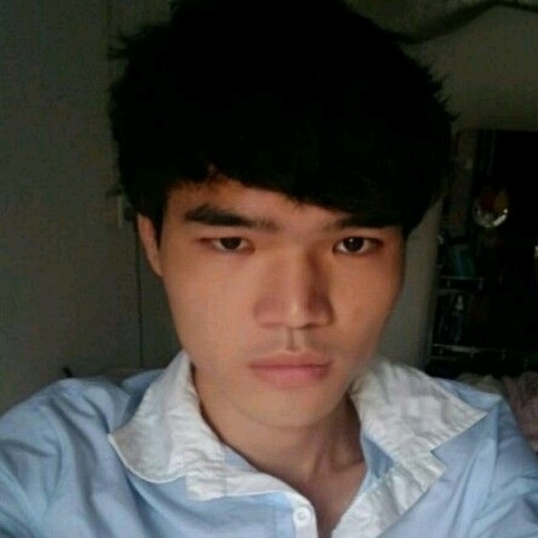 远走他乡的鹰的照片