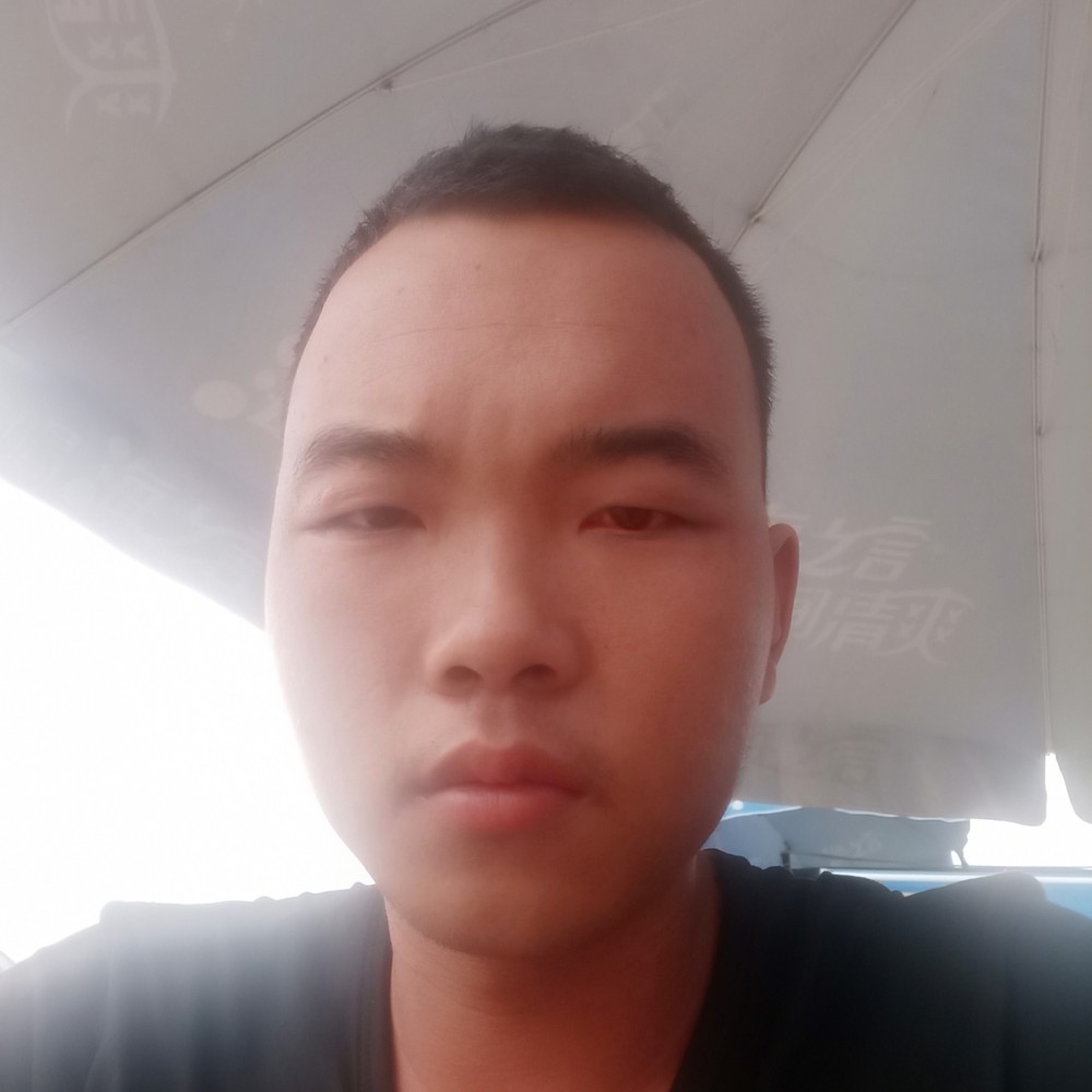 春天说彼年的照片