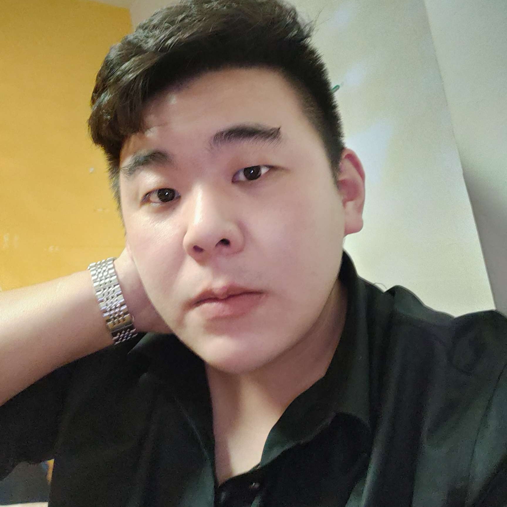 小刺猬迎缥缈的照片