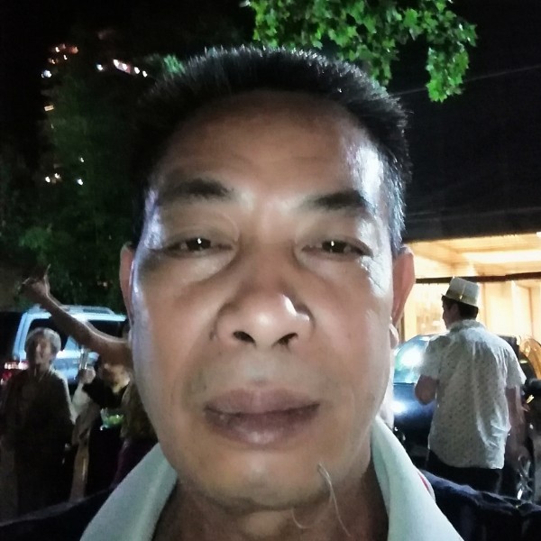 落拓苦恋小海豚的照片