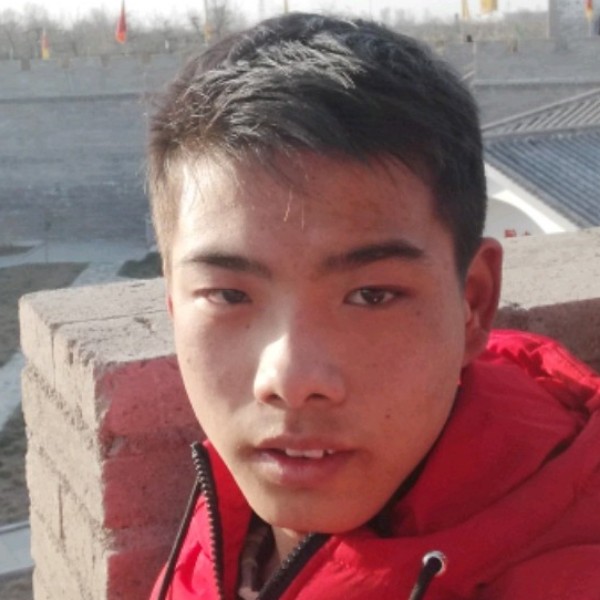 碧影停止迷人的照片