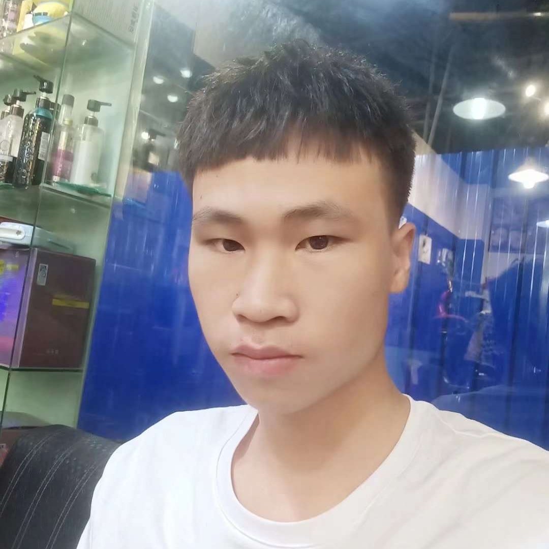 狗闻务实的照片