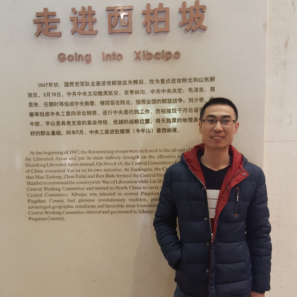 冬瓜端庄的照片