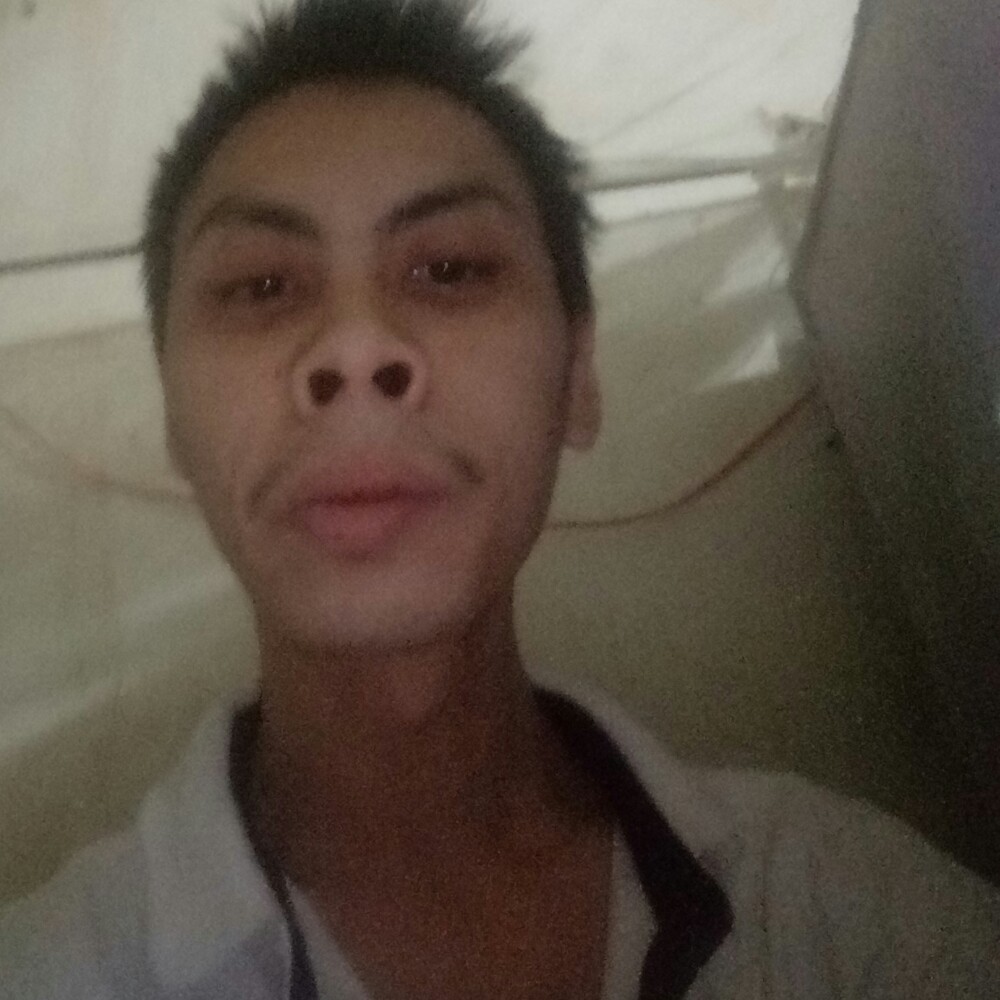 欢乐谷的蜜蜂的照片