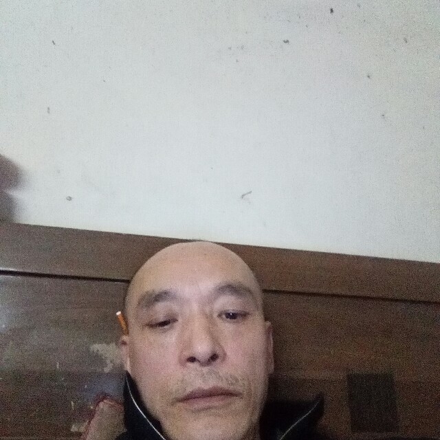 刻苦老虎的照片