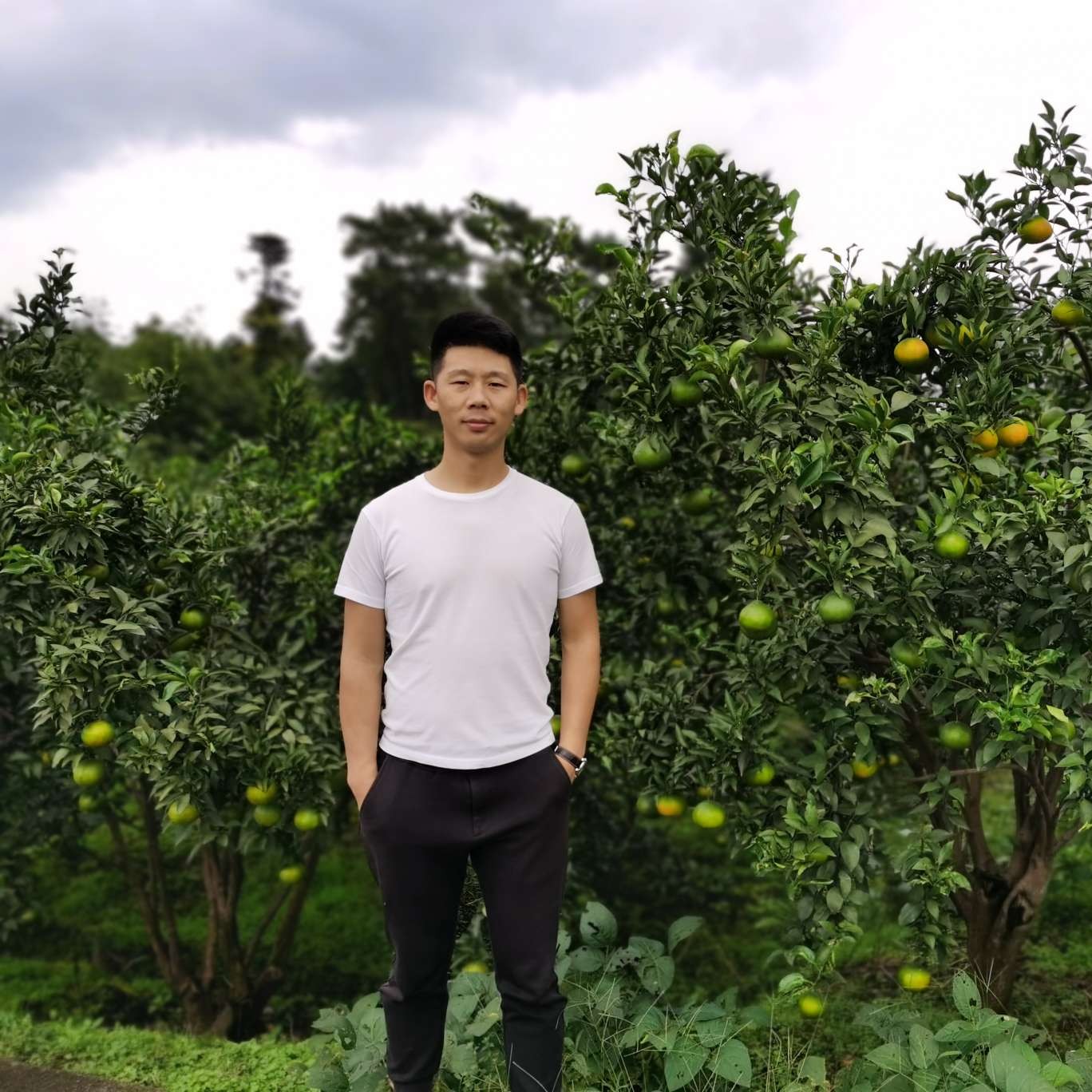 荔枝挽手落后的照片