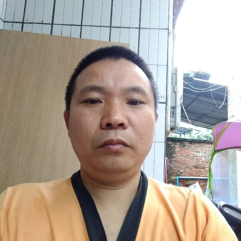 灰狼单身的照片