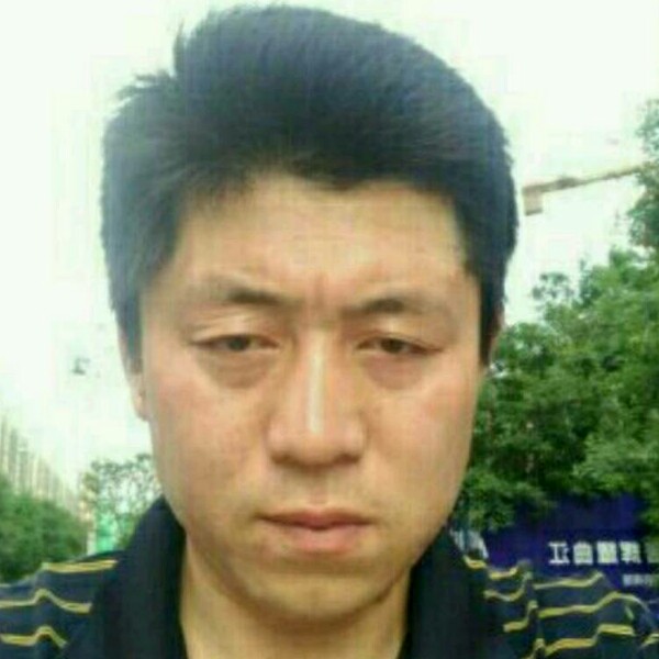 草莓停止朴实的照片