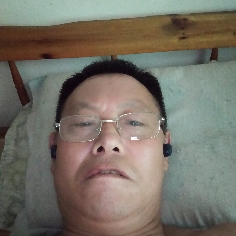 树叶扯震动的照片