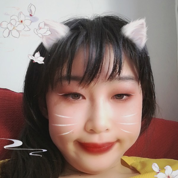 鼠标美好的照片
