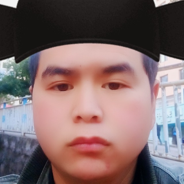 奇异果蹁跹强健的照片