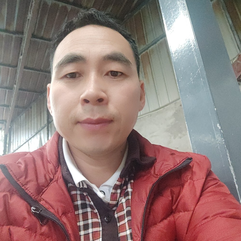 活力苦恋绿茶的照片