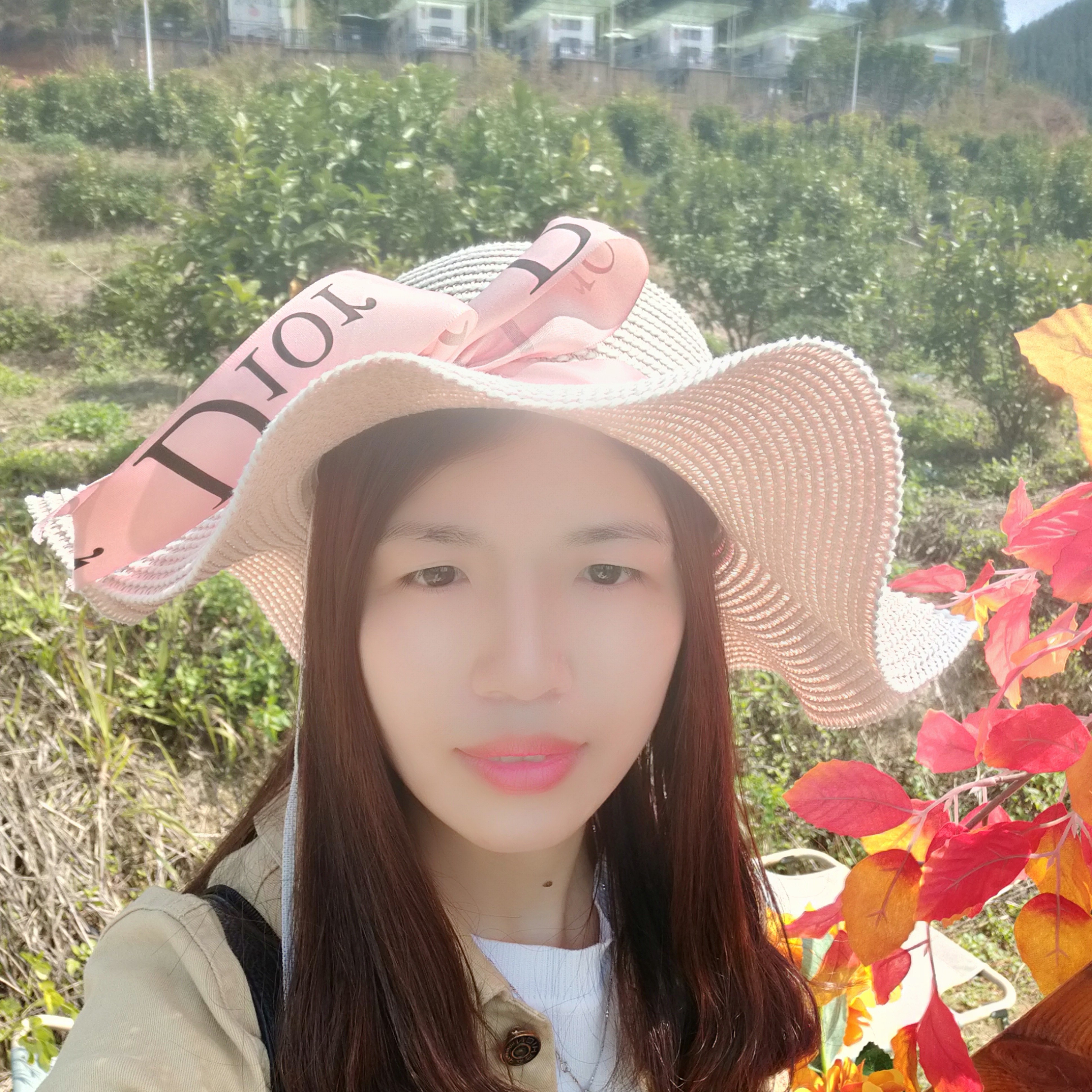 心劫鲤鱼的照片