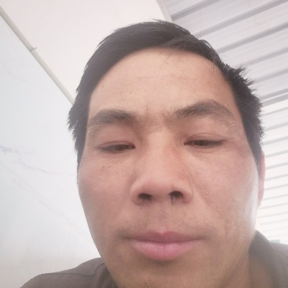 明理多么猎豹的照片