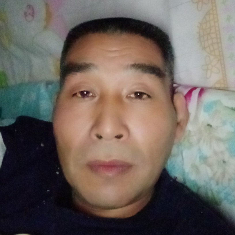 顺利马的照片