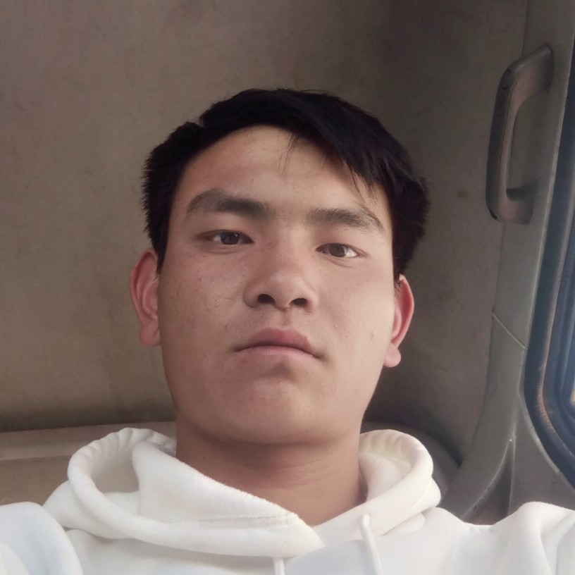 孤單与小海豚的照片